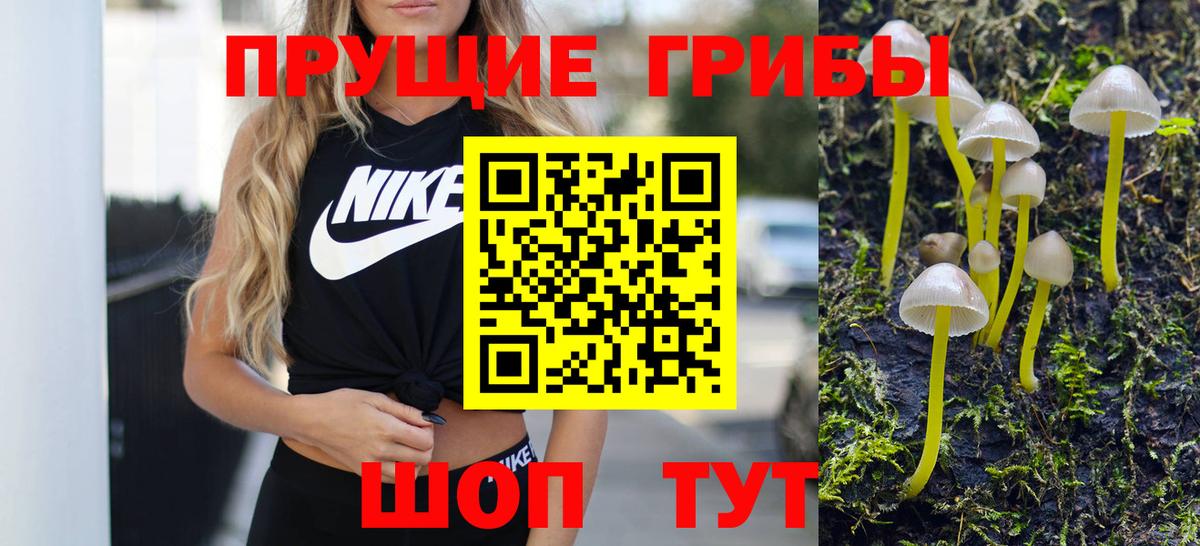 Галлюциногенные грибы мицелий Сочи